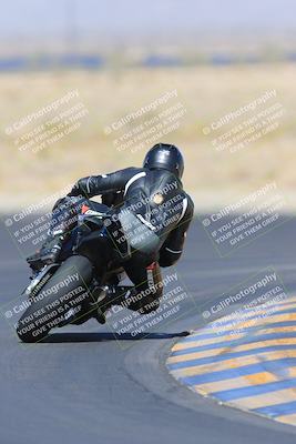 media/May-13-2023-SoCal Trackdays (Sat) [[8a473a8fd1]]/Turn 11 Backside (945am)/